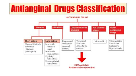 beta blockers list of drugs|List of Antianginal agents (antianginal drugs) .